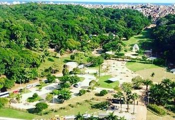 Vista aérea do Parque da Cidade Joventino Silva em Salvador - BA.
