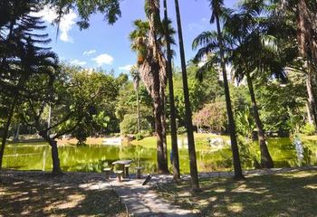 Área verde do Campo de São Bento em Niterói - RJ.