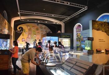 Seção Vida no Museu Catavento em São Paulo - SP.