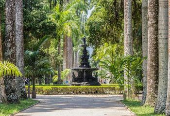 Fonte do Jardim Botânico do Rio de Janeiro - RJ.