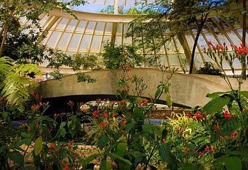 Estufas do Jardim Zoobotânico de Belo Horizonte - MG.