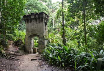 Trilha do Parque Lage em direção ao Corcovado no Rio de Janeiro - RJ. 