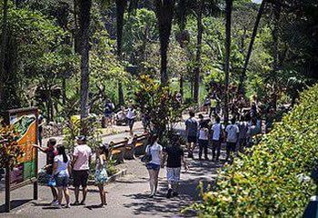 Visitantes caminhando pelo Zoológico de São Paulo - SP. Visitantes caminhando pelo Zoológico de São Paulo - SP.