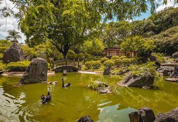 Jardim Japonês na Zoobotânica de Belo Horizonte - MG. 