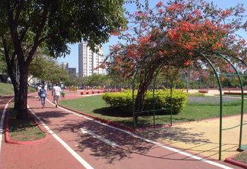 Pista de corrida do Parque Juscelino Kubitschek em Belo Horizonte - MG.